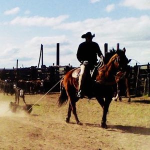 Meet your Posher, Alan